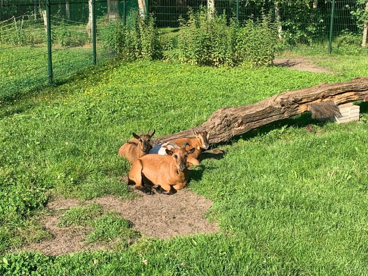 Het Achterhuis - Buitenplaats Ruitenveen, Prive! Nieuwleusen Zewnętrze zdjęcie