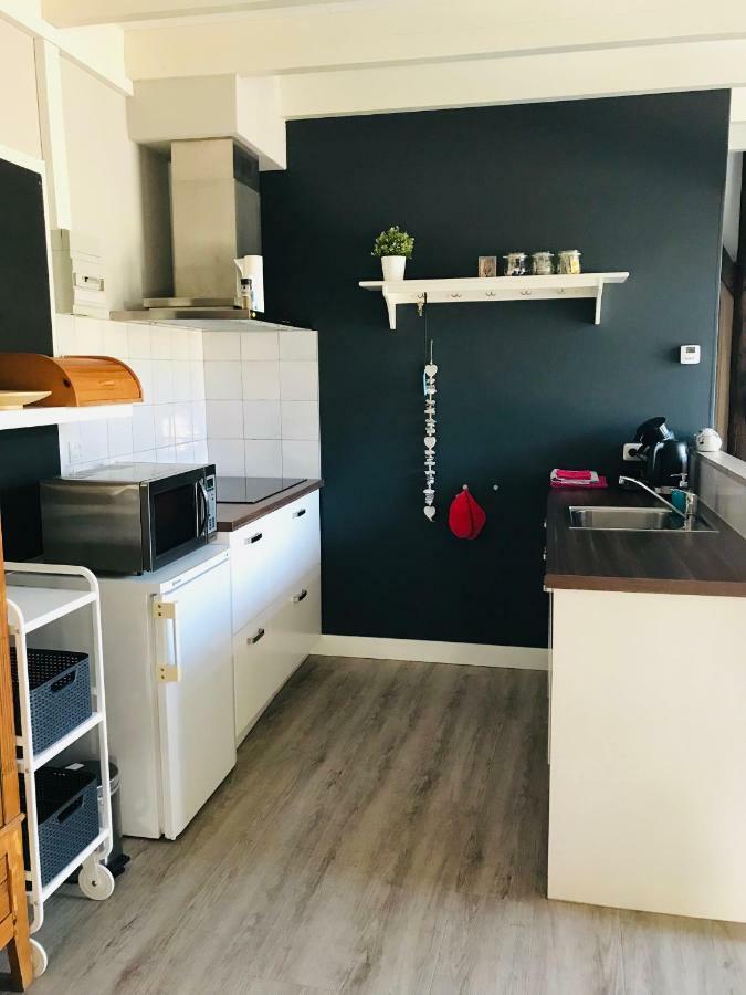 Het Achterhuis - Buitenplaats Ruitenveen, Prive! Nieuwleusen Zewnętrze zdjęcie